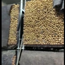 蔬菜货架，冷库货架，山药货架