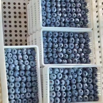 [牛]山东蓝莓价格蓝莓熟了蓝莓产地批发L25F6蓝莓