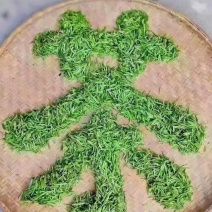 宜居茶，一级毛尖，色香味俱全受广大群众欢迎