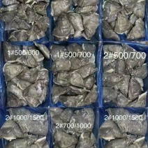 鲽鱼头，400-500500-70020斤
