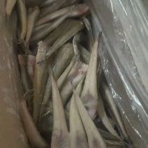 三去牛尾鱼营养丰富肉质鲜美口感爽滑出肉率高产地直发