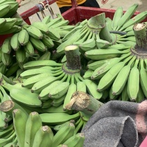 广西土芭蕉牛角蕉纯甜糯口