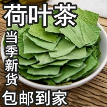 荷叶茶荷叶荷叶片荷叶干荷叶荷叶片荷叶茶荷叶散装荷叶片花草
