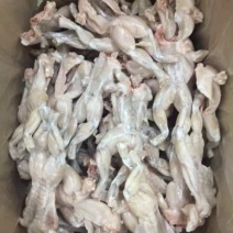 单冻蛙牛蛙前腿蛙肚真空全蛙
