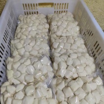 石屏豆腐【豆腐特产】支持视频看货，可发往全国市场！
