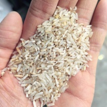 黄米厂家直销一选黄米承接加工厂订单酒厂加工饲料量大价格低