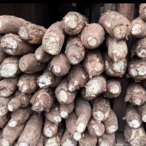 白肉木薯