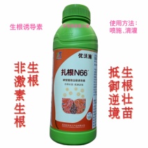 扎根N66新型植物生根诱导素生根壮苗抵御逆境