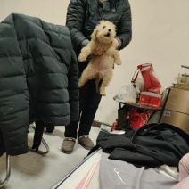 巨贵妹妹