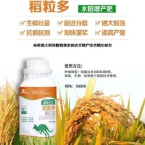 稻粒多-水稻增产专用，生根壮苗促进分蘖，穗大粒增产