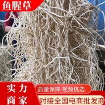 产地直发，水洗折耳根，现挖现发，量大从优，农户直发