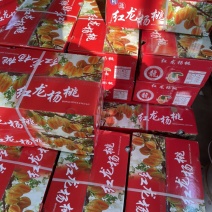 下河杨桃