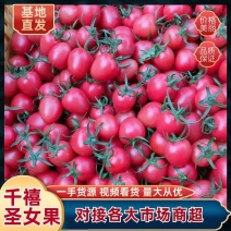千禧圣女果，贝贝小番茄莘县产区直供，玲珑，糖伯虎社区团购