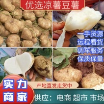广东凉薯地瓜豆薯货源充足质量保证