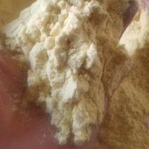 玉米面