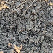 人工翻晒干鸡粪块蔬菜种植专用河北厂家直销
