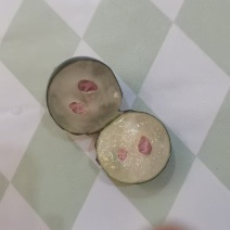 【树葡萄，又名嘉宝果，产地直发现，摘现发】一手货源