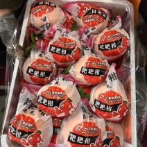四川耙耙柑（春见）出口品质莫斯科中亚五国