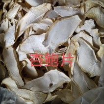 福建杏鲍菇片大量供应杏鲍菇欢迎老板进店订购诚信经营