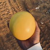 黄晶果