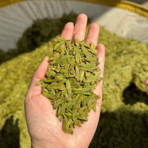 250g高档明前龙井新茶高山绿茶茶叶浓香型绿茶浓香耐泡