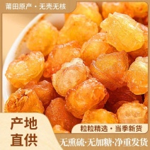 无核桂圆肉批发优质桂圆肉产地一手货源新货桂圆肉