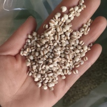 【薏仁米】小薏米贵州薏米纯干无硫麸炒薏米仁