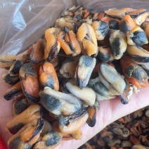 淡菜地摊电商批发淡菜干干淡菜海虹干海产品批发