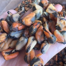 淡菜地摊电商批发淡菜干干淡菜海虹干海产品批发