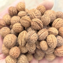 精品山桃胡工艺**