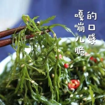 嘎嘣脆的马尾藻，嫩、脆、鲜美，五斤一箱，包邮到家
