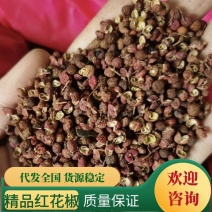 山东花椒货源产地直发过筛过黑籽红花椒大红袍量大从优