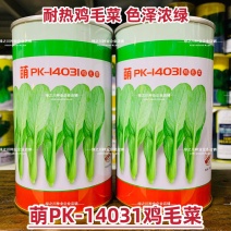 微萌耐热鸡毛菜种子萌PK14031鸡毛菜小青菜种子夏季