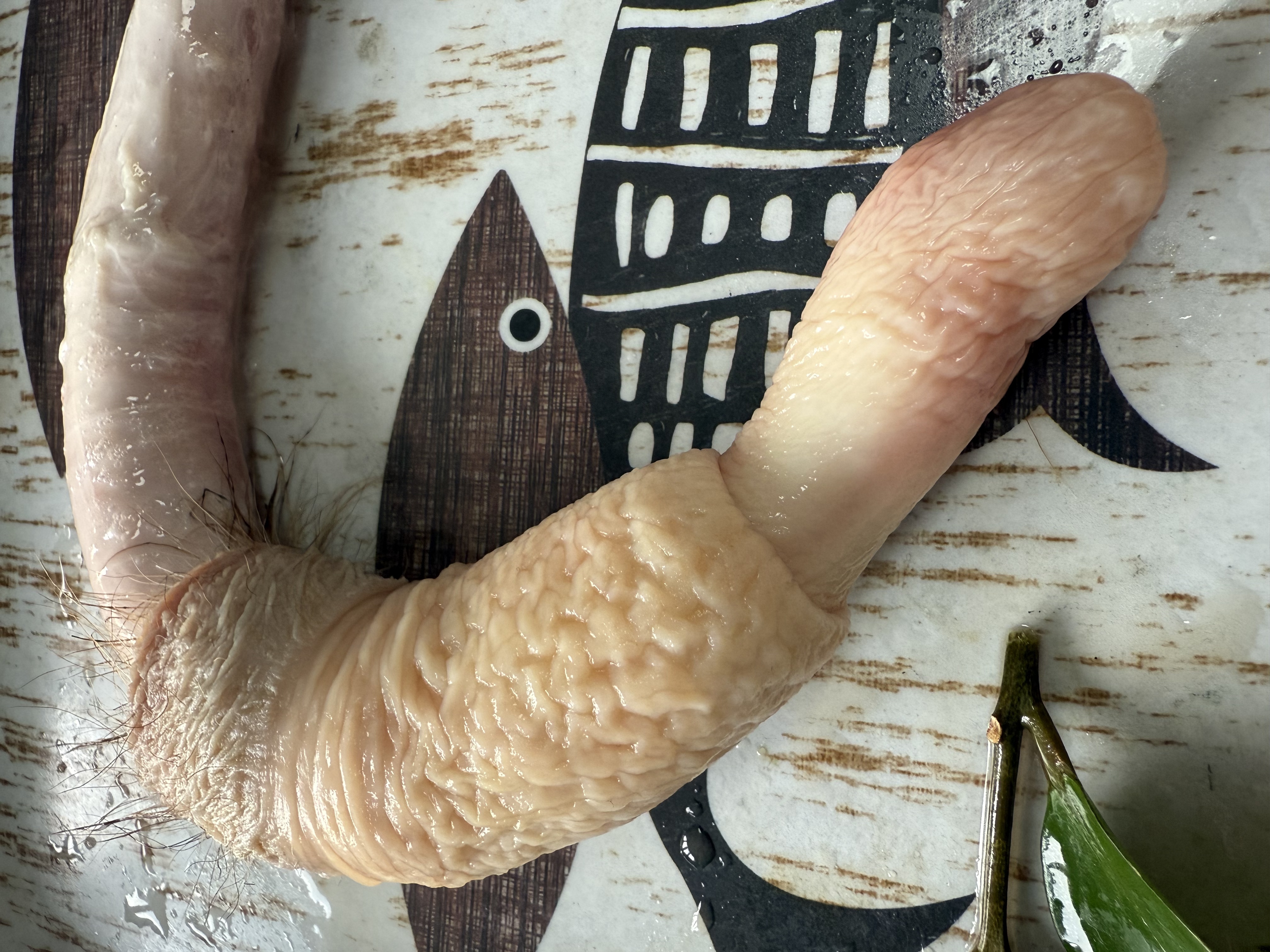 图示展示鹿鞭的主要营养成分及其作用,包括氨基酸、微量元素和激素类物质 鹿鞭营养成分分析图