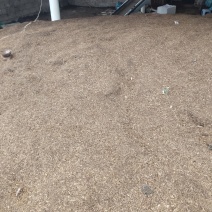 育苗用松针腐殖土