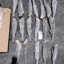 进口加拿大黑鳕鱼，一手资源，欢迎老板详谈