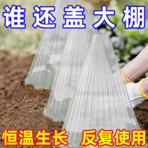 育苗保护罩透明钟罩可重复使用温室大棚免受鸟类霜冻伤害加厚保护