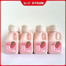 白小乐酸奶奶昔