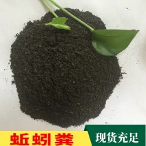 蚯蚓粪花卉种植发酵腐熟