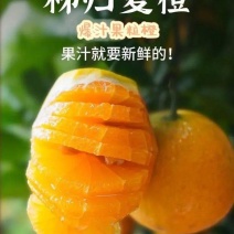 《店家推荐》夏橙，米莱，夏津皮毛光滑漂亮，水分充足爆汁
