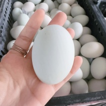 高邮咸鸭蛋起沙流油熟咸鸭蛋整箱批发