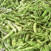油豆