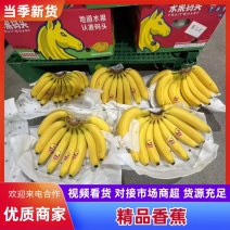 香蕉品质保证服务周到产地直发