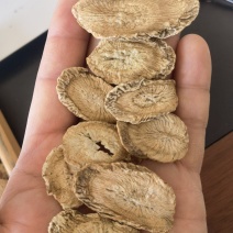 牛蒡茶，牛蒡根，产地一手货源