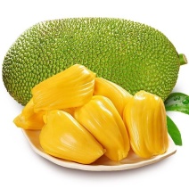 海南三亚新鲜黄肉菠萝蜜应当季热带水果大树木菠萝整箱一整个