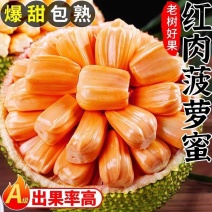 海南红肉菠萝蜜8-20斤一整个红心泰八波罗蜜当季新鲜水果