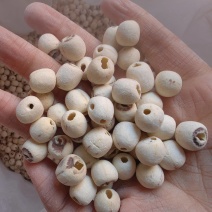 莲子去皮湘莲各种规格去芯无硫