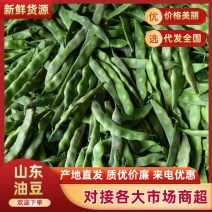 山东紫花油豆，大量供应，欢迎市场，电商，商超来电质询。