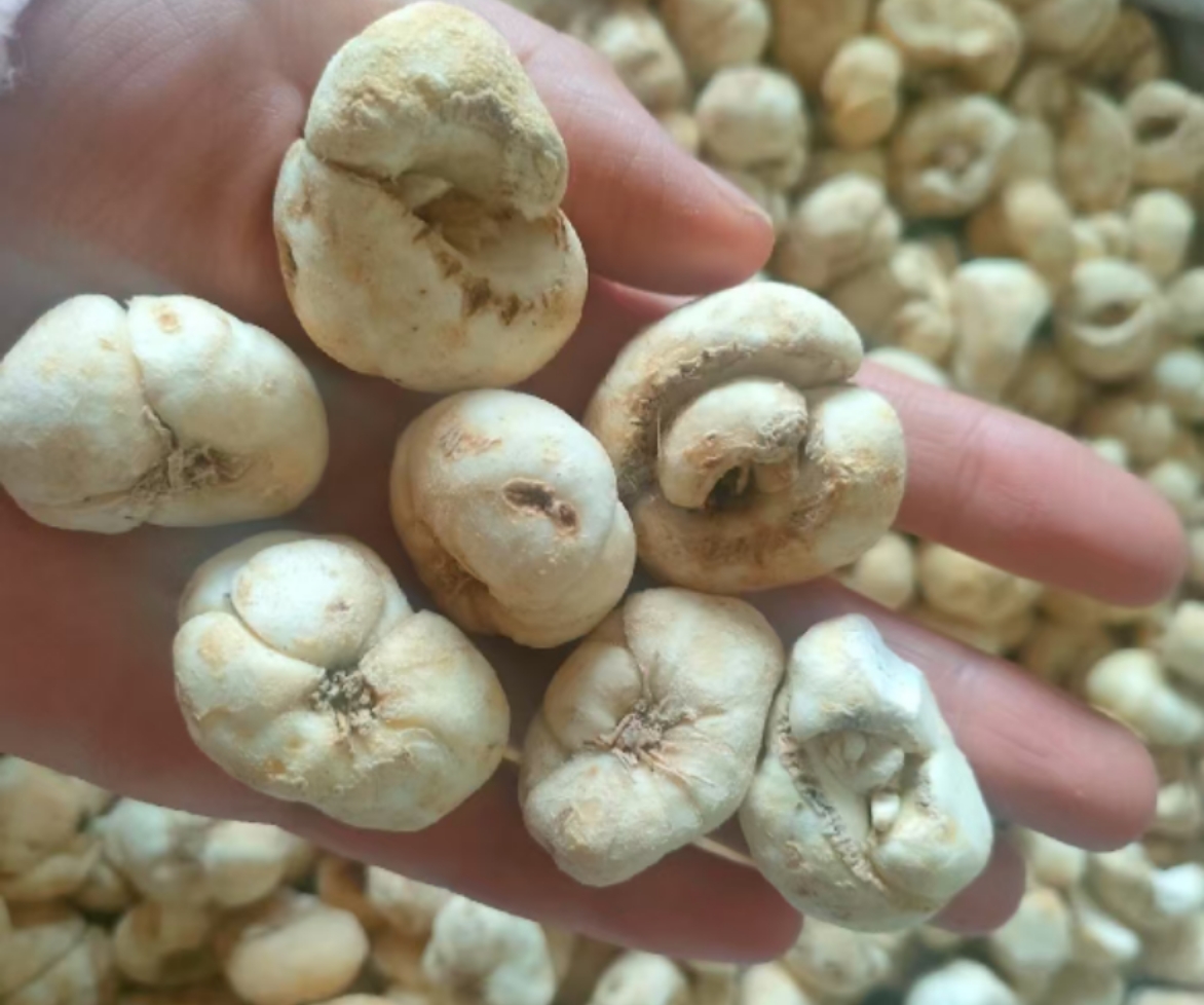 中医师抓药场景