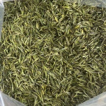 浙江安吉白茶湖州头采新茶安吉白茶